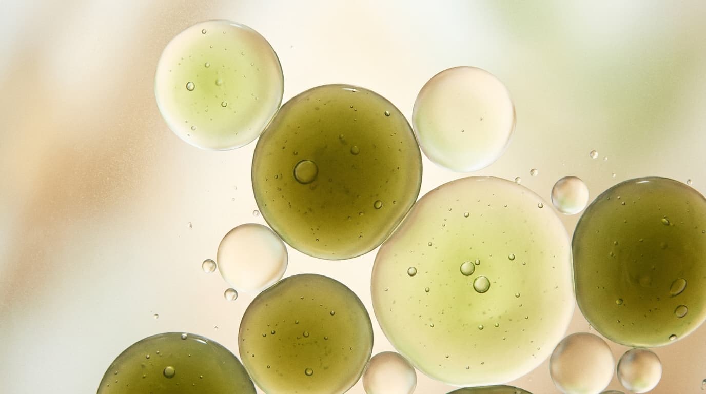 Can You Get Pregnant on HRT During Perimenopause?